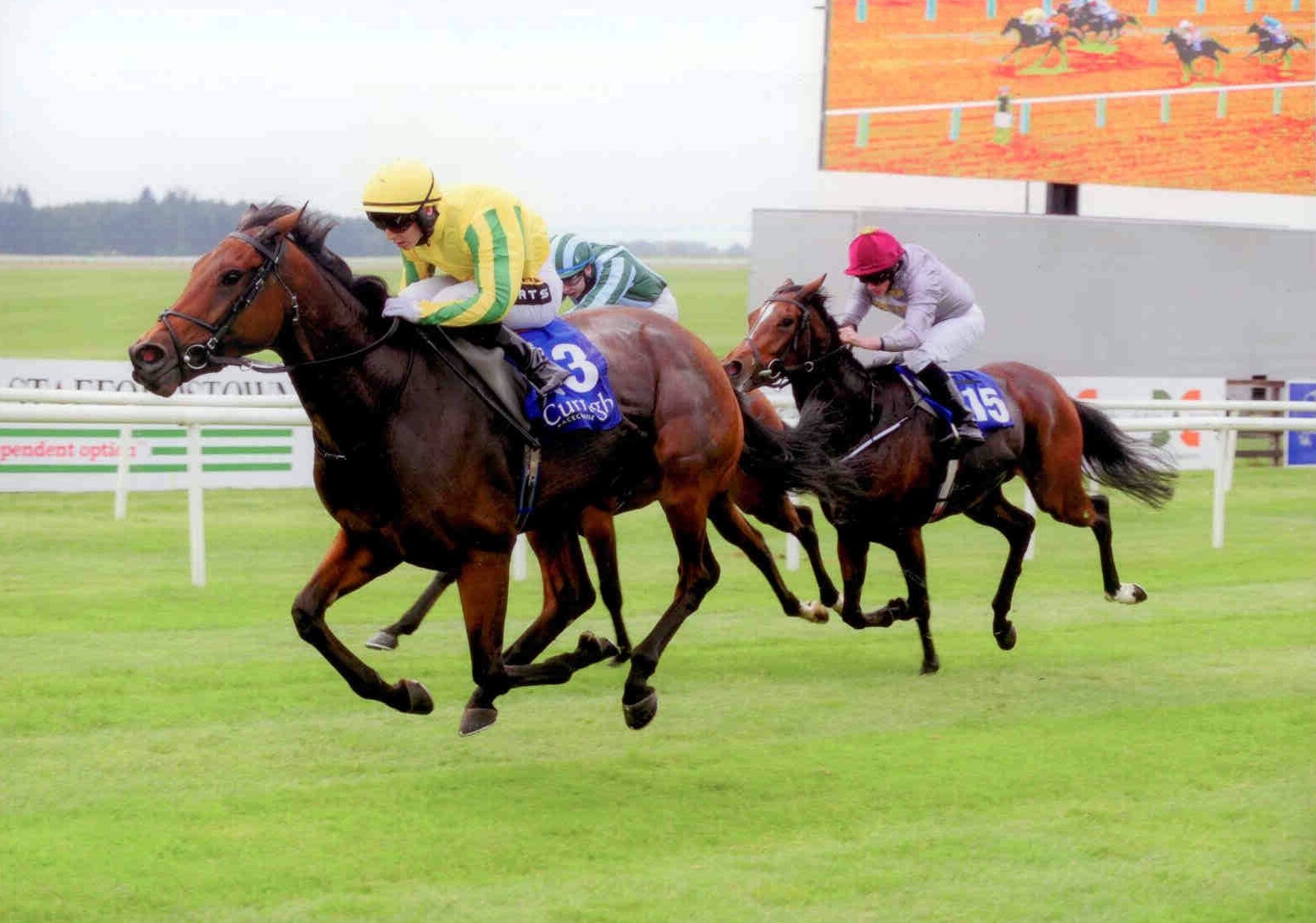 SYNOPSIS wins first time out for new connections at the Curragh on Sunday 11th October 2015
